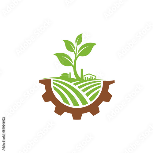 green plant in a pot