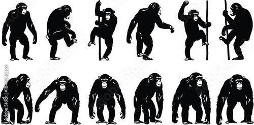 Collection of Chimpanzee Animal Silhouettes Vector Set, Diverse African Ape Species in Various Poses, Monkey, Primate, and Wildlife Icon Graphic Design Elements for Nature and Zoo Themes.