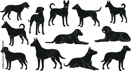 Dog silhouette set, various canine poses illustration, black pet figure icons, sitting, standing, lying down posture graphic, breed diversity concept