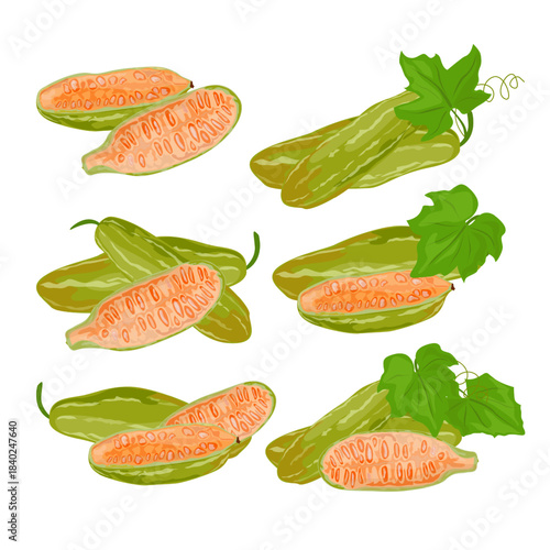 Set Tindora Ivy Gourd Vegetable