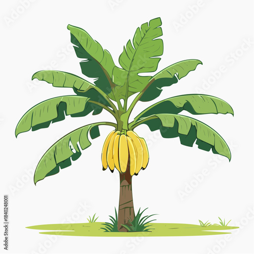 Vibrant Banana Tree Illustration with Ripe Yellow Bananas Hanging and Green Leaves in a Lush Outdoor Setting