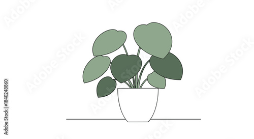 Minimalist illustration of a potted Pilea plant with round green leaves in a white pot, sitting on a flat surface.