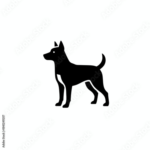 Black silhouette of a standing dog, depicted in a simple graphic style on a white background.