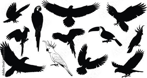 ropical Bird Silhouettes Set, Flying and Perching Parrots, Cockatoos, and Toucan Black Vector Icons, Exotic Wildlife Collection, Jungle Graphics