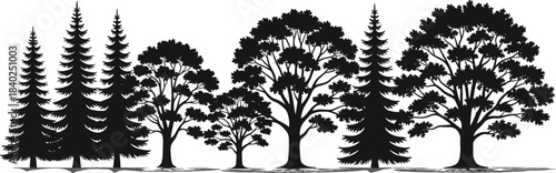 Tree silhouette vector illustration, coniferous and deciduous trees, forest diversity, black shapes, landscape design, nature elements, ecology concept, stock artwork