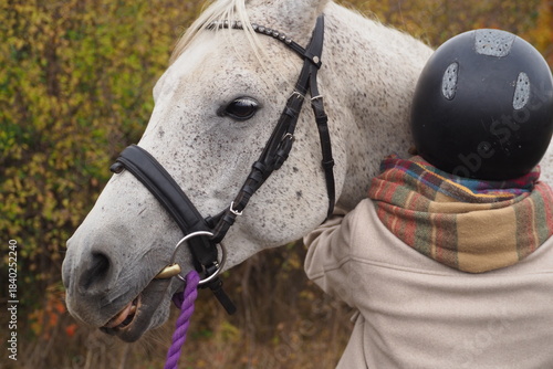 Wallpaper Mural Głowa pięknego szarego konia Torontodigital.ca