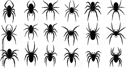 Spider silhouette vector set, black spider icons, arachnid shapes for Halloween, biology, tattoo design, pest control, and educational content