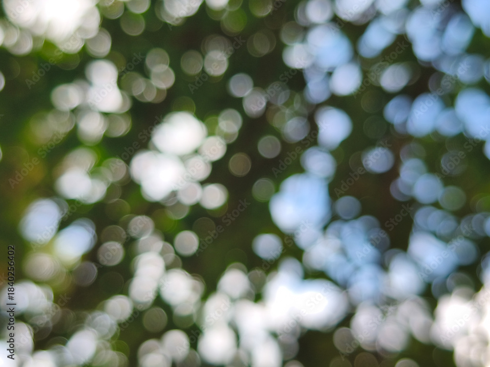 Obraz premium Dreamy Green and White Abstract Bokeh Background