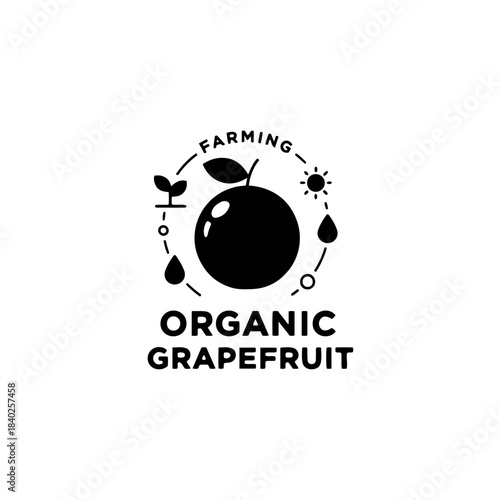 Organic grapefruit farming icon: seedling, sun, and water droplets symbolizing growth and agriculture isolated on transparent background