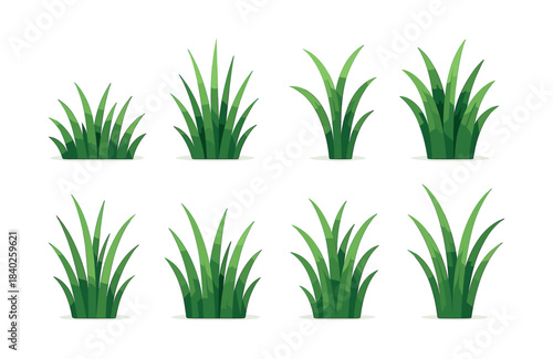 Grass and plant collection, flat vector illustration, greenery, minimal nature design