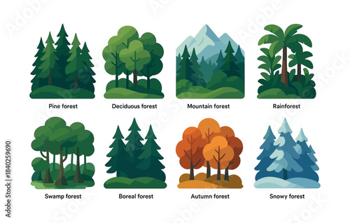 Forest types, pine, mountain, autumn, and snowy, flat vector illustration