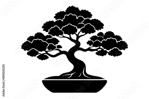 Bonsai Tree silhouette vector, Bonsai Icon black symbol
