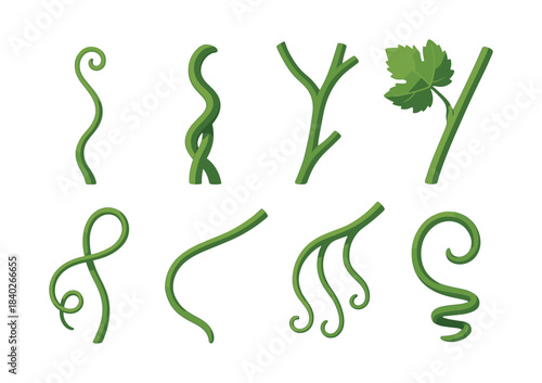 Vine branch collection, tendrils and leaves, flat vector illustration