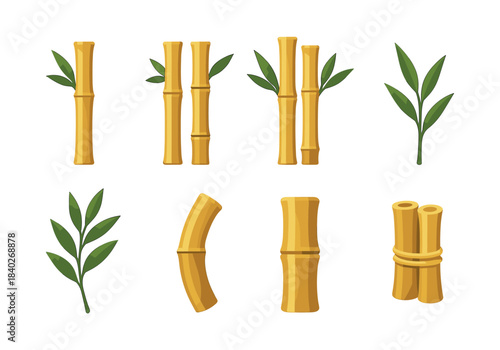 Bamboo plants collection, stems and leaves, flat vector illustration