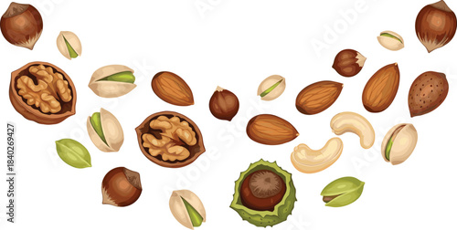 Hand-drawn mixed nuts illustration set featuring walnuts, pistachios, almonds, cashews, and hazelnuts for food packaging, kitchen decor, stickers, and digital design