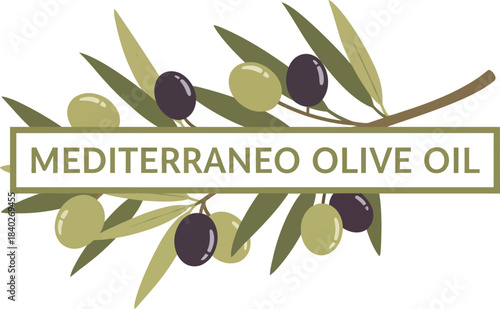 Mediterraneo Olive Oil branch with green and black olives logo design vector illustration 