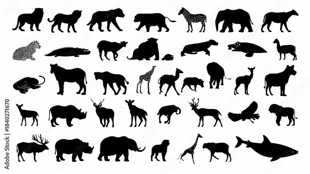Fototapeta premium A comprehensive collection of diverse animal silhouettes, showcasing a wide variety of species from different habitats.