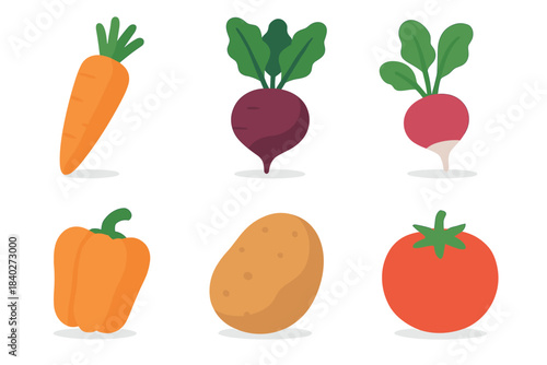 Fresh vibrant vegetables including carrots, beets, radishes, peppers, potatoes, and tomatoes are depicted in a clean, modern flat design style.