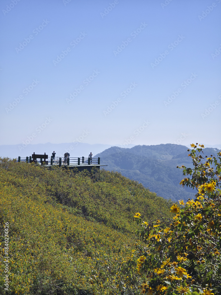 Fototapeta premium Serene mountain viewpoint landscape with people on deck enjoying peaceful scenic view. beautiful travel destination in nature with clear blue sky and yellow flower
