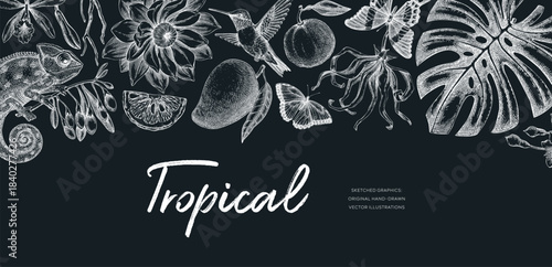 Tropical background in sketch style. Summer banner.  Palm leaves, tropical flower, exotic animal hand drawn vector illustration.  Not AI generated 