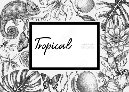 Tropical frame design in sketch style. Summer background. Palm leaves, tropical flower, exotic animal hand drawn vector illustration. Not AI generated 