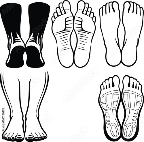 Human Foot Anatomy and Silhouette Set, Various Views of Legs and Soles