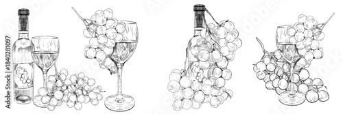 Set with bottle, glass of wine and grape branch with bunches of round grapes. Concept of winemaking, production and sale of wine, growing grapes. Vector illustration for menus, web, info graphics