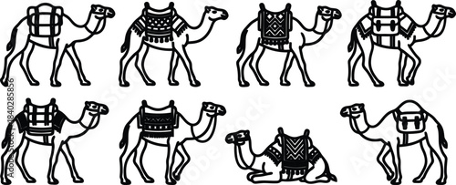 Collection of Camel Illustrations with Traditional Saddle Designs