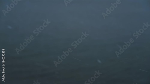 ブルーグレイの水面を背景に降る雪