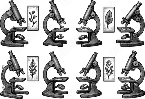 Vintage microscopes and botanical studies in monochrome design