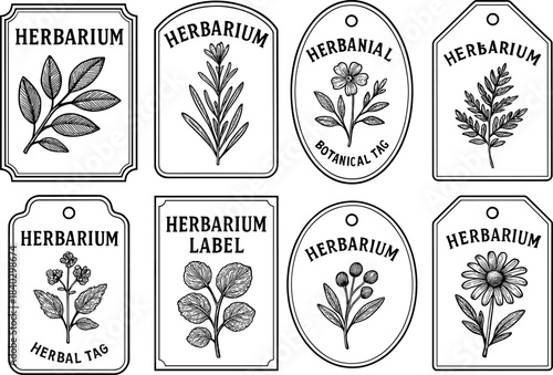Elegant botanical labels collection with vintage herbal illustrations