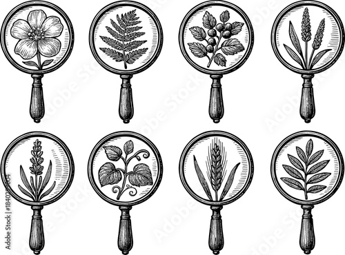 Botanical magnifying glass art: vintage nature collection of eight detailed plants