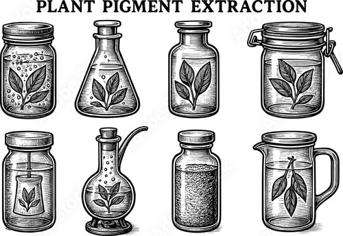Herbal extraction jars: vintage botanical designs highlighting natural essence