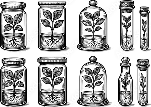 Vintage botanical jars and test tubes with plants in ink style