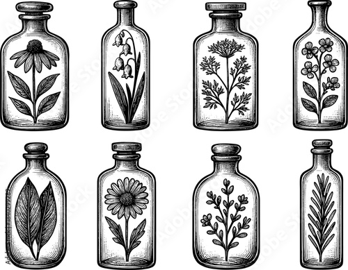 Vintage botanical apothecary: eight glass bottles with herb and floral sketch art