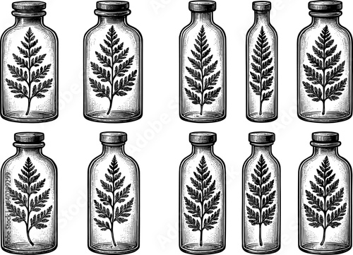 Botanical pattern of fern leaves encased in vintage glass jars with engraved style design