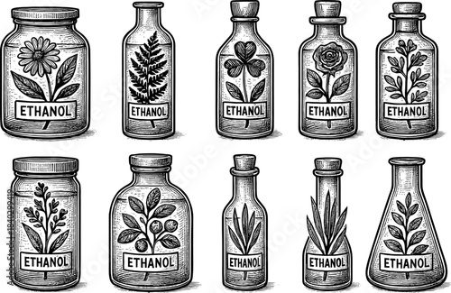 Vintage botanical ethanol bottles: hand-drawn antique style designs with plants