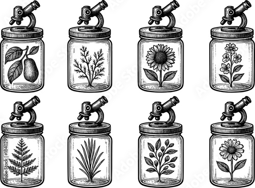 Vintage botanical jars with intricate plant designs under microscope lids