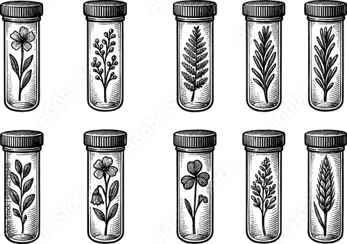 Vintage botanical specimens in engraved glass jars