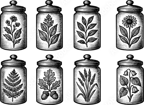 Vintage botanical engraving of herb jars with floral and leaf designs