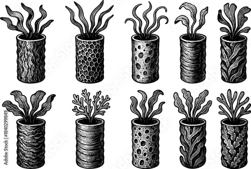 Monochrome botanical designs in textured cylindrical vases