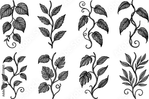 Intricate botanical leaf designs with vintage hand-drawn style