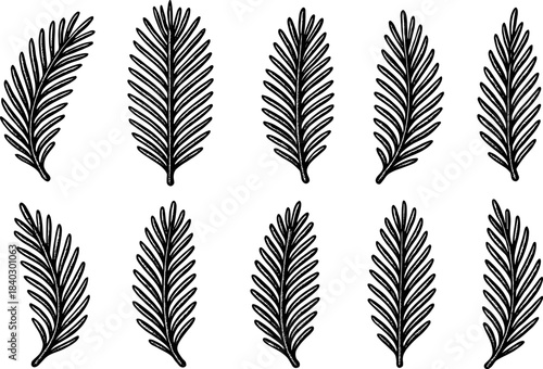 Black and white pine tree branch collection in sketch style