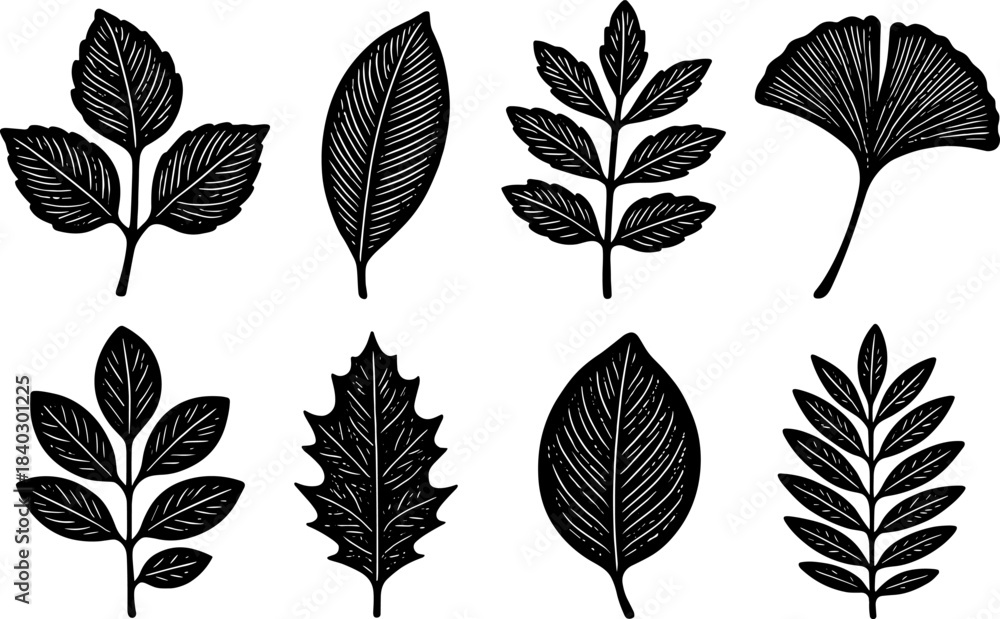 Fototapeta premium Silhouette botanical collection of various leaf designs in black and white