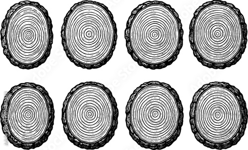 Wooden tree rings pattern with annual growth rings in engraved style