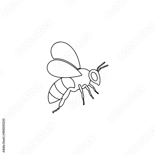 Line art drawing of a bee in profile, isolated on white, showing wings, body segments, and antennae clearly. isolated on transparent background