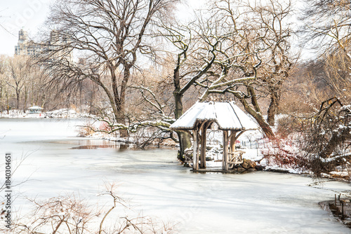 winter in the park