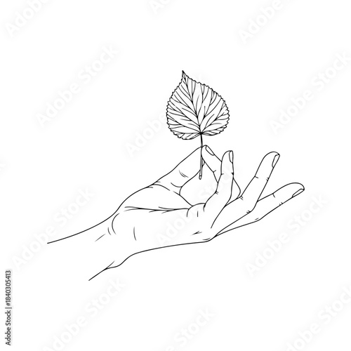 Elegant line art illustration depicting a graceful human hand delicately holding a single textured leaf, embodying nature, growth, and environmental care concept. isolated on transparent background