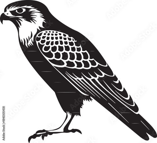 A striking black and white illustration of a perched hawk in profile