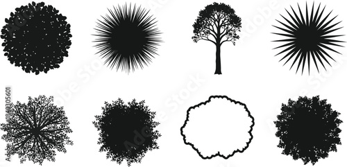 Collection of eight black and white tree and bush silhouettes, top view